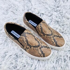 Steve Madden Snake Skin Sneaker